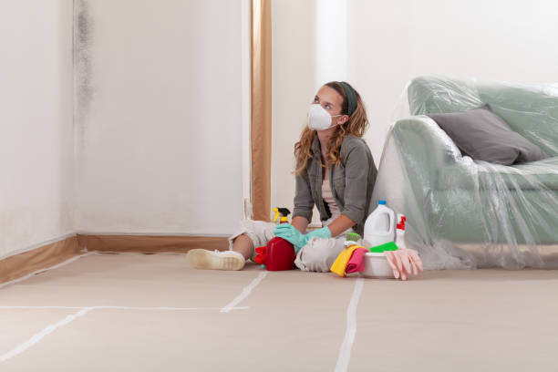 Reliable Mold Cleanup contractor in Oak Hall, VA by WQB Mold Removal